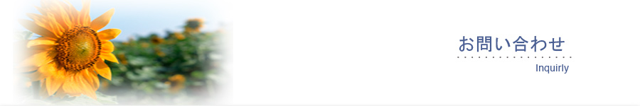 お問合せメールフォーム